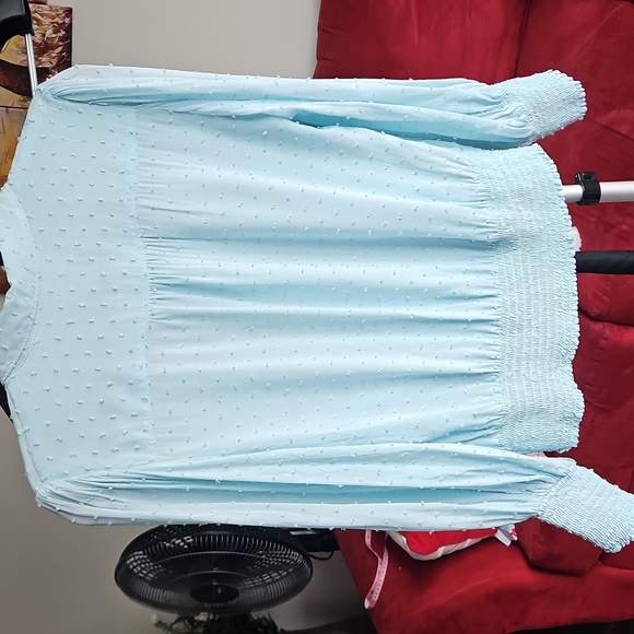 Anthropologie Maeve Blue Rosa Swiss Dot Blouse - Picture 3 of 7